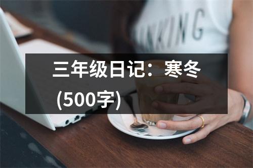 三年級(jí)日記：寒冬 (500字)