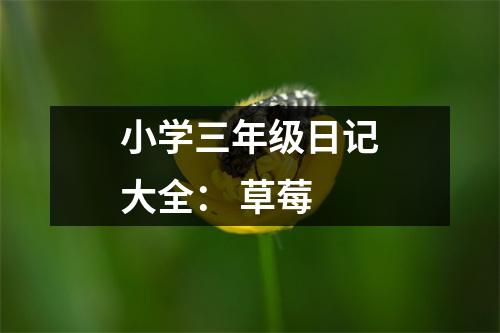 小學(xué)三年級(jí)日記大全： 草莓