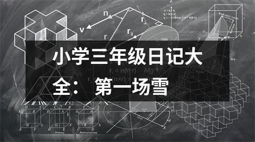 小學(xué)三年級(jí)日記大全： 第一場雪