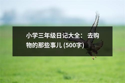 小學(xué)三年級(jí)日記大全： 去購(gòu)物的那些事兒 (500字)