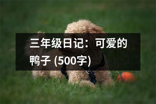 三年級(jí)日記：可愛(ài)的鴨子 (500字)