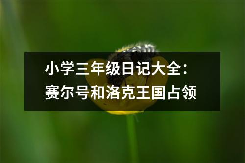 小學(xué)三年級(jí)日記大全： 賽爾號(hào)和洛克王國(guó)占領(lǐng)