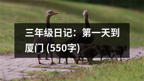 三年級日記：第一天到廈門 (550字)