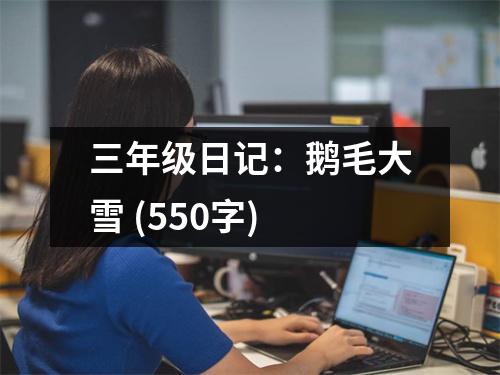 三年級日記：鵝毛大雪 (550字)