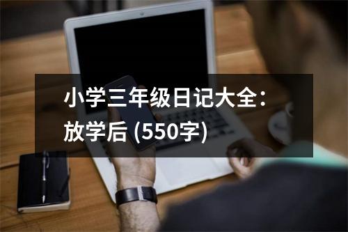 小學(xué)三年級日記大全： 放學(xué)后 (550字)