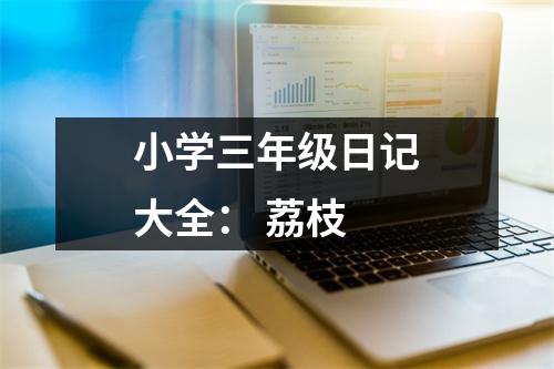 小學(xué)三年級日記大全： 荔枝