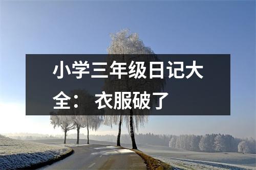 小學(xué)三年級日記大全： 衣服破了