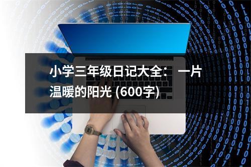 小學(xué)三年級(jí)日記大全： 一片溫暖的陽(yáng)光 (600字)