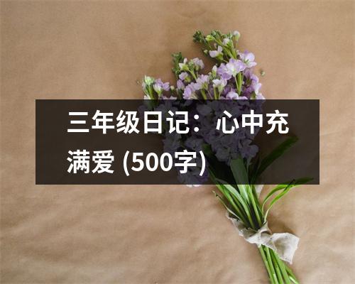 三年級日記：心中充滿愛 (500字)