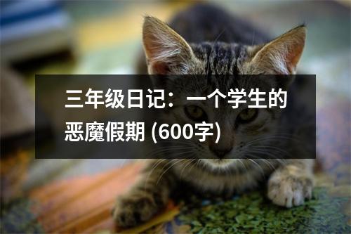 三年級日記：一個學生的惡魔假期 (600字)