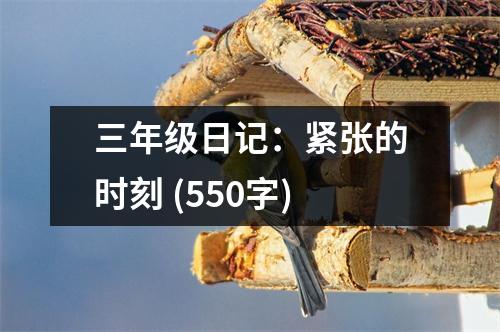 三年級日記：緊張的時刻 (550字)