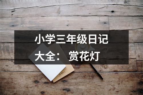 小學(xué)三年級日記大全： 賞花燈