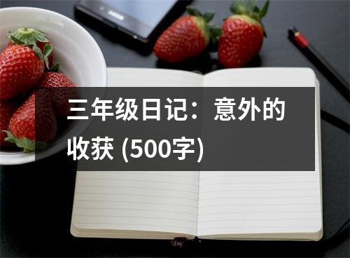 三年級日記：意外的收獲 (500字)