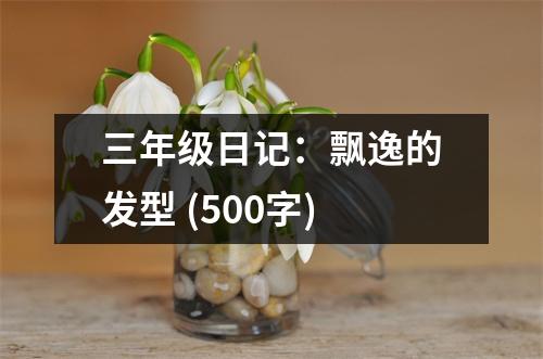 三年級(jí)日記：飄逸的發(fā)型 (500字)