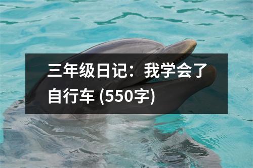 三年級日記：我學(xué)會了自行車 (550字)