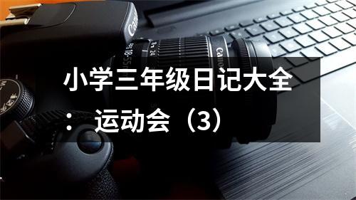 小學(xué)三年級日記大全： 運(yùn)動會（3）