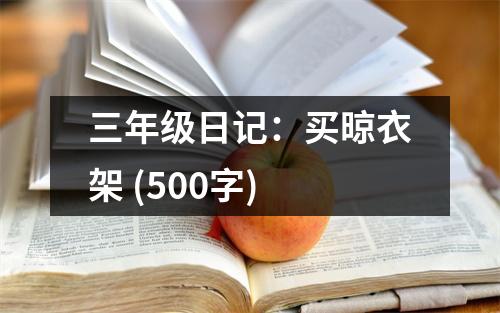 三年級日記：買晾衣架 (500字)