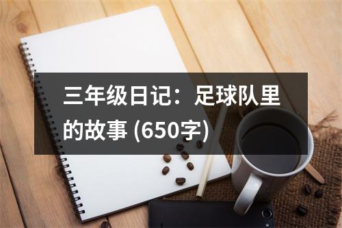 三年級(jí)日記：足球隊(duì)里的故事 (650字)