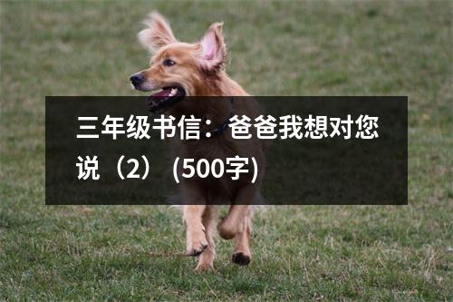 三年級(jí)書(shū)信：爸爸我想對(duì)您說(shuō)（2） (500字)