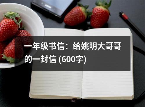 一年級書信：給姚明大哥哥的一封信 (600字)
