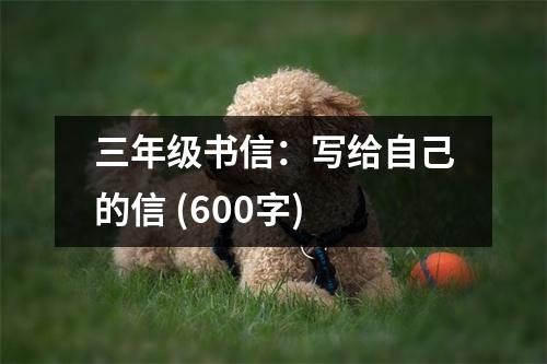 三年級書信：寫給自己的信 (600字)
