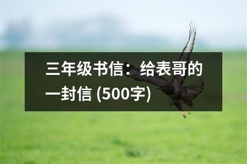 三年級書信：給表哥的一封信 (500字)