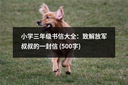小學三年級書信大全：致解放軍叔叔的一封信 (500字)