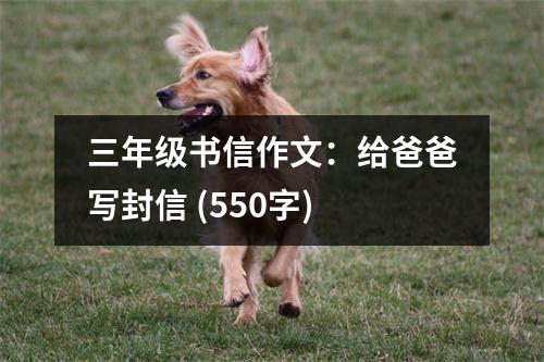 三年級書信作文：給爸爸寫封信 (550字)