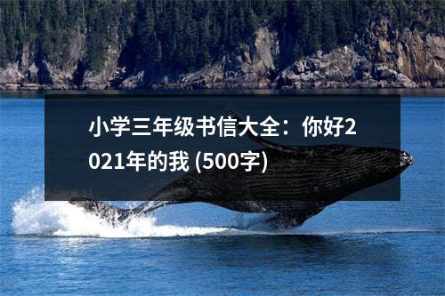 小學三年級書信大全：你好2021年的我 (500字)