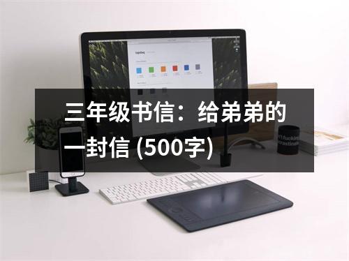 三年級書信：給弟弟的一封信 (500字)