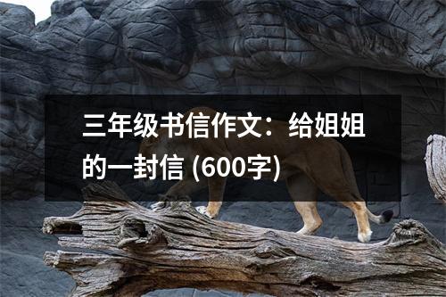 三年級(jí)書信作文：給姐姐的一封信 (600字)
