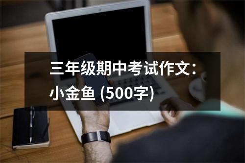 三年級(jí)期中考試作文：小金魚(yú) (500字)