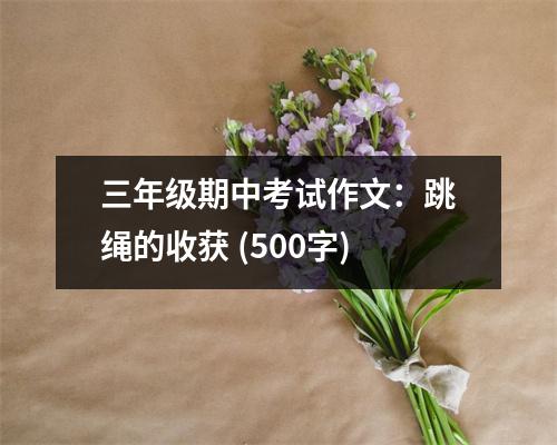 三年級(jí)期中考試作文：跳繩的收獲 (500字)