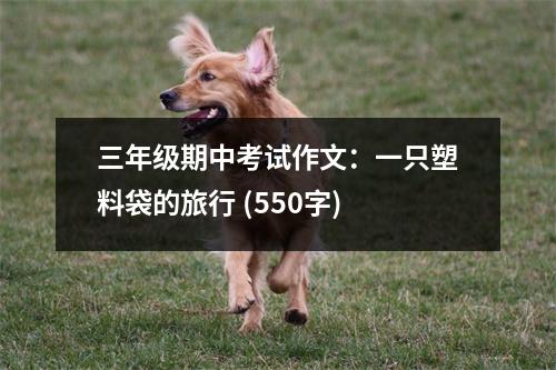 三年級(jí)期中考試作文：一只塑料袋的旅行 (550字)