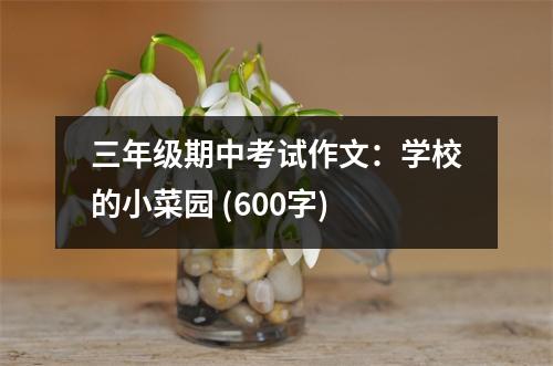 三年級期中考試作文：學校的小菜園 (600字)