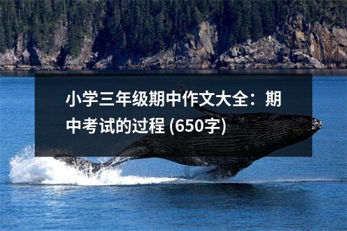 小學三年級期中作文大全：期中考試的過程 (650字)