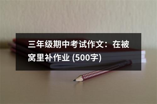 三年級期中考試作文：在被窩里補作業(yè) (500字)