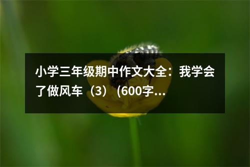 小學(xué)三年級期中作文大全：我學(xué)會了做風(fēng)車（3） (600字)