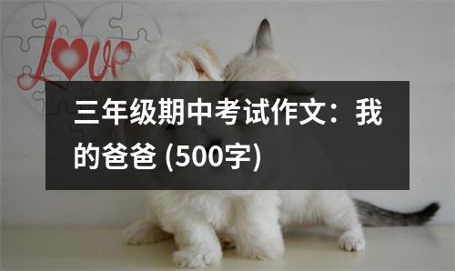三年級期中考試作文：我的爸爸 (500字)