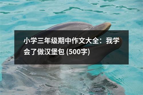 小學(xué)三年級(jí)期中作文大全：我學(xué)會(huì)了做漢堡包 (500字)