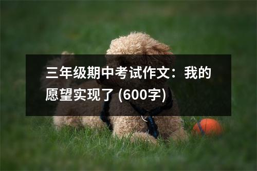 三年級(jí)期中考試作文：我的愿望實(shí)現(xiàn)了 (600字)