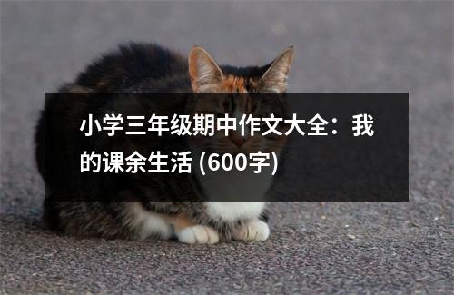 小學(xué)三年級(jí)期中作文大全：我的課余生活 (600字)