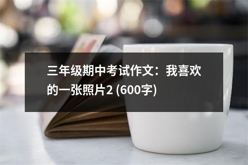 三年級(jí)期中考試作文：我喜歡的一張照片2 (600字)