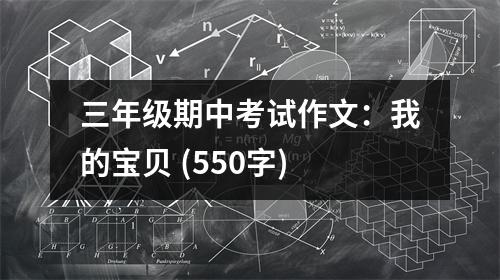 三年級期中考試作文：我的寶貝 (550字)