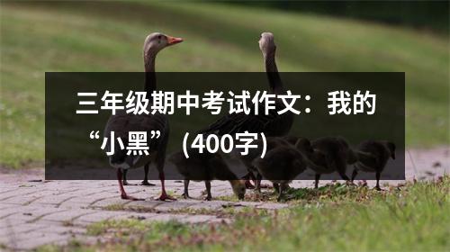三年級期中考試作文：我的“小黑” (400字)
