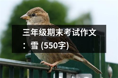三年級期末考試作文：雪 (550字)