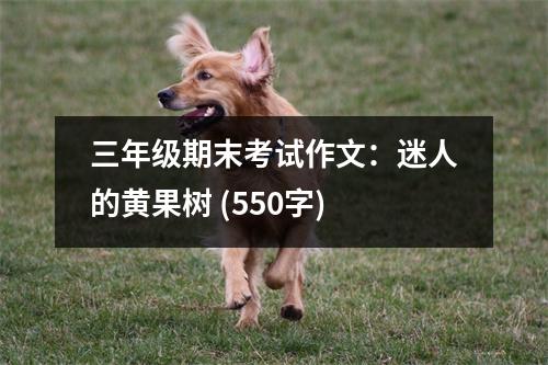 三年級期末考試作文：迷人的黃果樹 (550字)