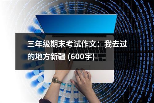 三年級期末考試作文：我去過的地方新疆 (600字)