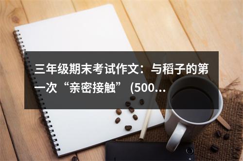 三年級期末考試作文：與稻子的第一次“親密接觸” (500字)
