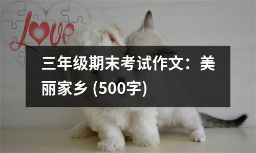 三年級期末考試作文：美麗家鄉(xiāng) (500字)